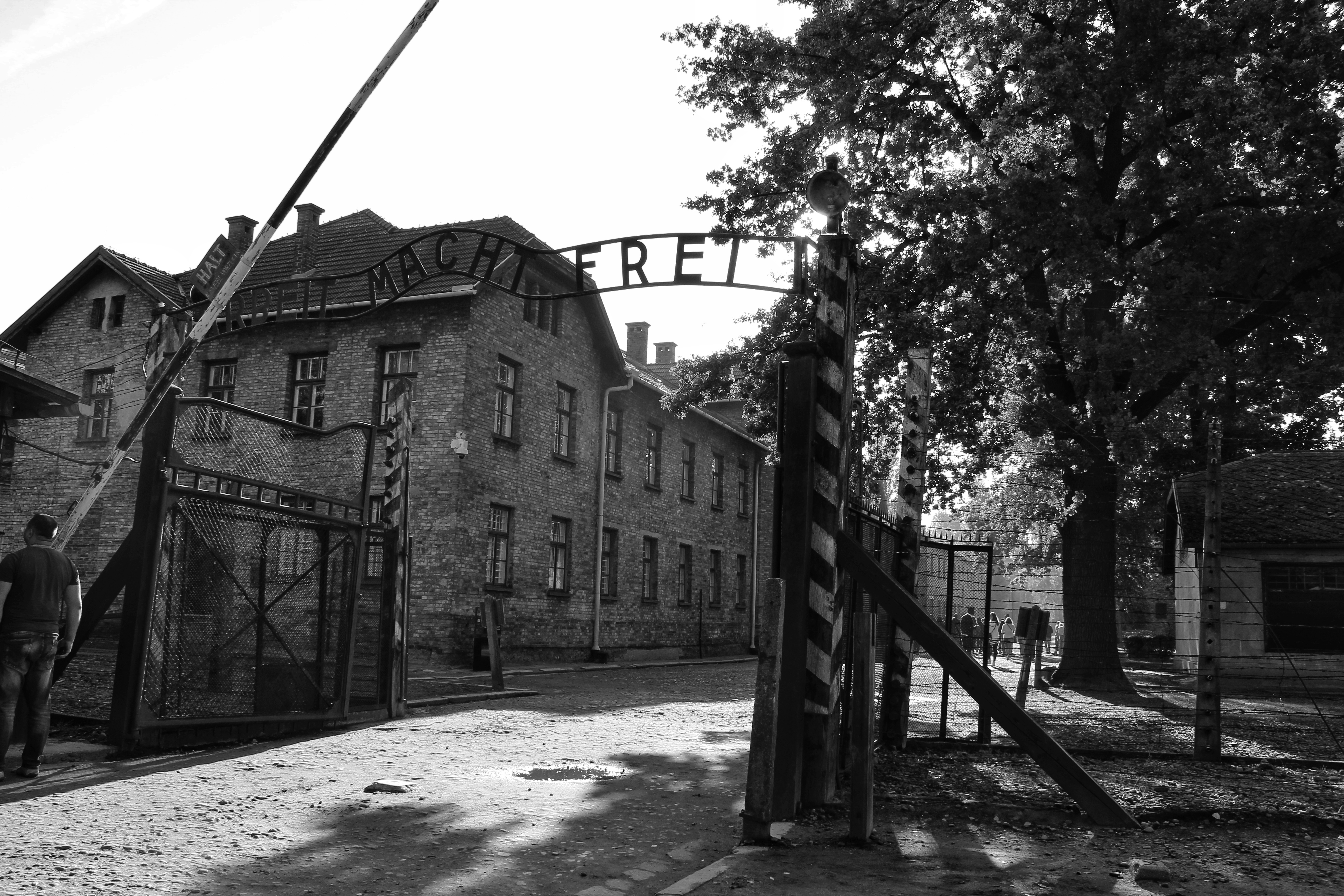 Auschwitz6